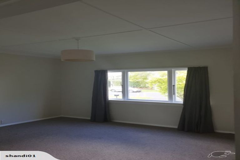 Photo of property in 59 Brookfield Street, Hamilton East, Hamilton, 3216