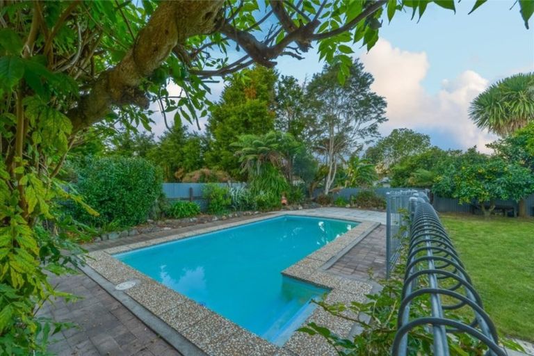 Photo of property in 17 Bailey Avenue, Claudelands, Hamilton, 3214