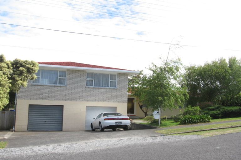 Photo of property in 33 Mason Terrace, Gonville, Whanganui, 4501
