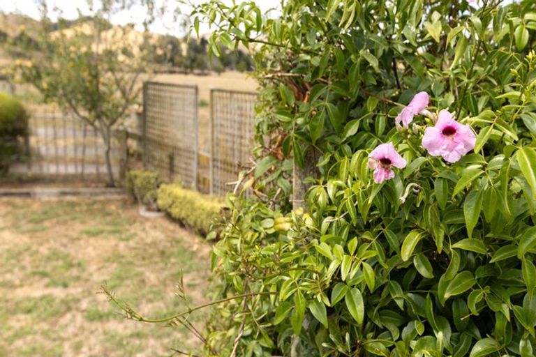 Photo of property in 530 Taniwha Road, Waerenga, Te Kauwhata, 3781