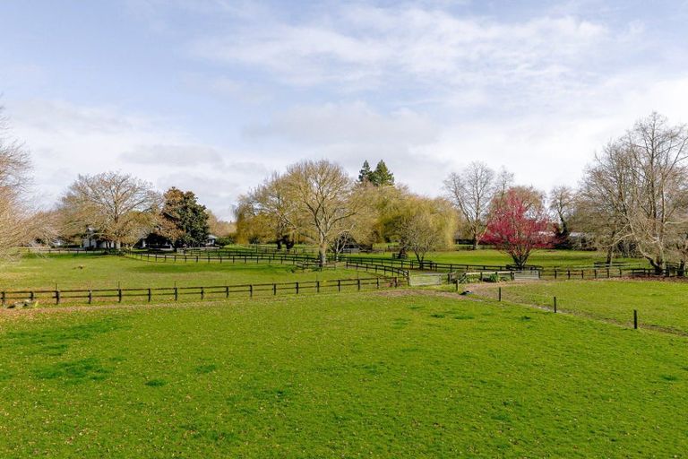 Photo of property in 31 Racecourse Road, Cambridge, 3493