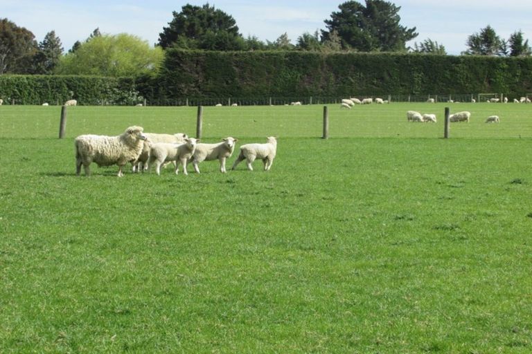 Photo of property in 141 Steel Road, Lorneville, Invercargill, 9874