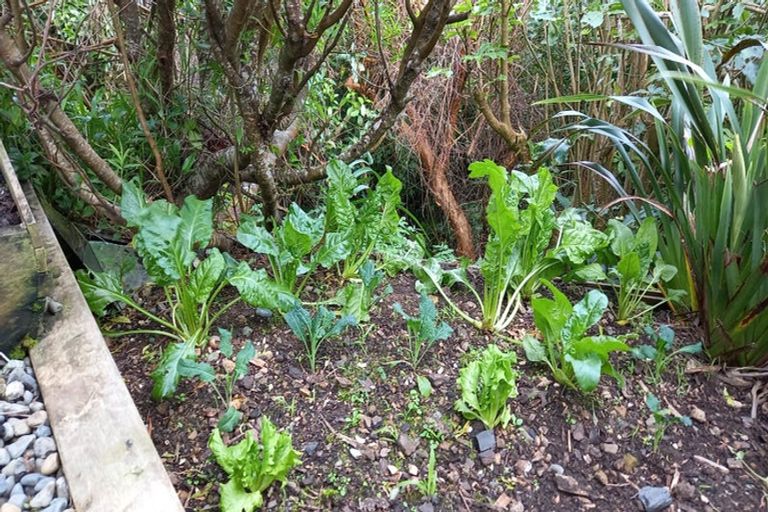 Photo of property in 70 Homebush Road, Khandallah, Wellington, 6035