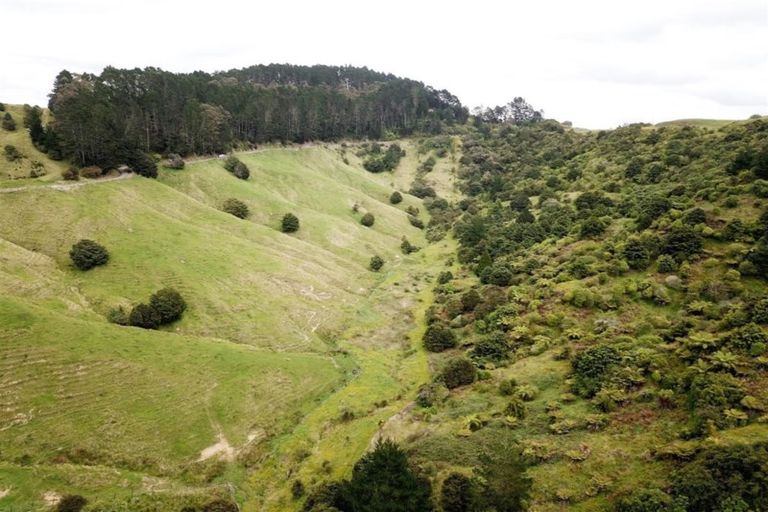 Photo of property in 160 Tunnel Road, Puhoi, Warkworth, 0994