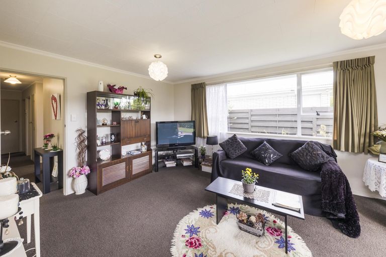 Photo of property in 53 Carter Crescent, Awapuni, Palmerston North, 4412