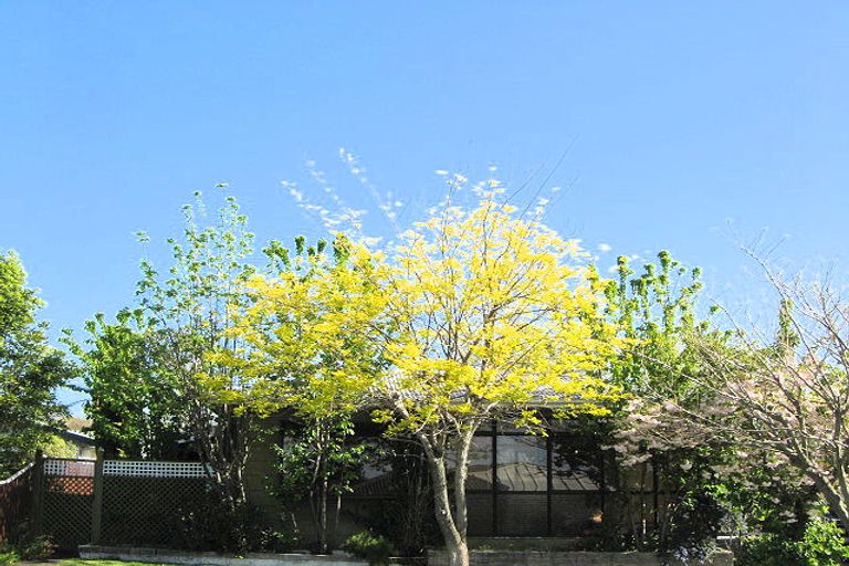 Photo of property in 13 Blackwood Street, Wakatu, Nelson, 7011