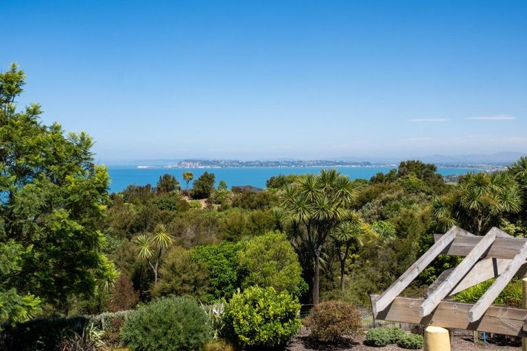 Photo of property in 11 Kaimata Road, Bay View, Napier, 4182