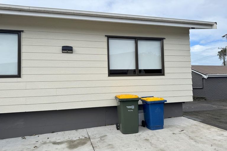 Photo of property in 49 Norcross Avenue, Henderson, Auckland, 0612