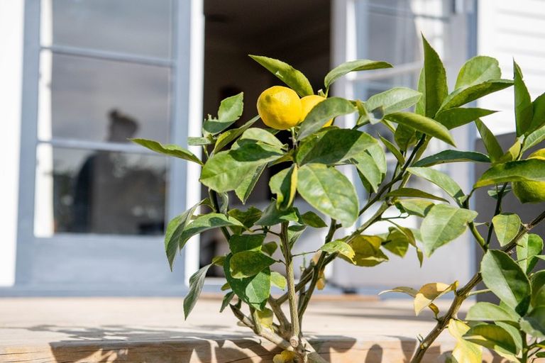 Photo of property in 26a Campbell Street, Leamington, Cambridge, 3432