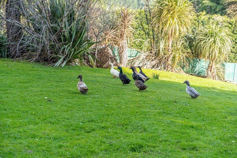 Photo of property in 7 Mangapurupuru Road, Bideford, Masterton, 5871