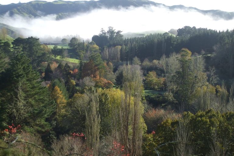 Photo of property in 116 Tauwharenikau Road, Tututawa, Stratford, 4392