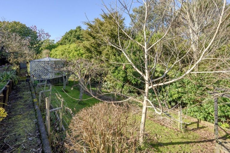 Photo of property in 561 Cambridge Road, Tauriko, Tauranga, 3110