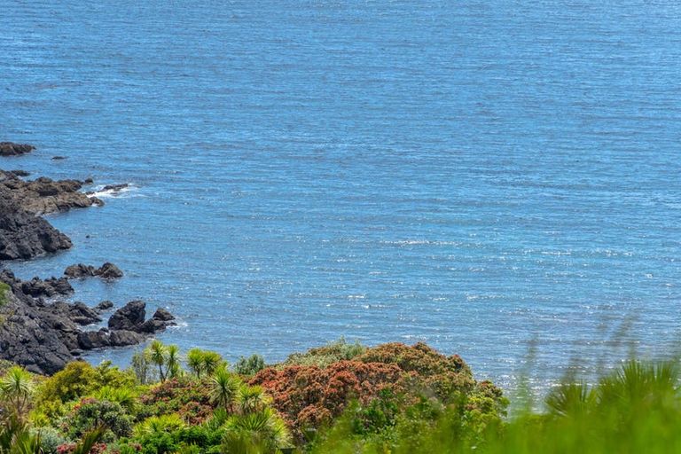 Photo of property in 62-64 Lax Crescent, Leigh, 0985