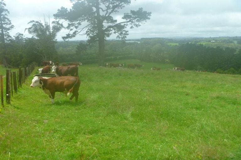 Photo of property in 353 Lockington Road, Aongatete, Katikati, 3181