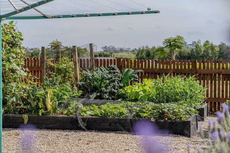 Photo of property in 15 Tareha Place, Kerikeri, 0230