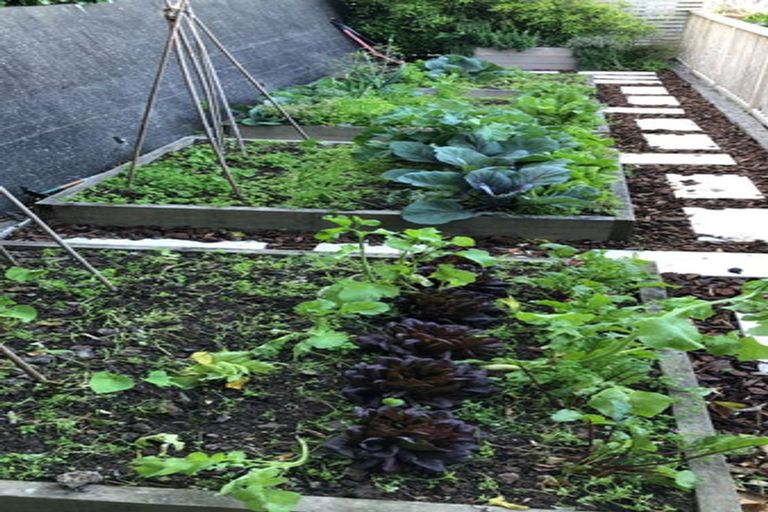 Photo of property in 80 Sefton Street, Wadestown, Wellington, 6012