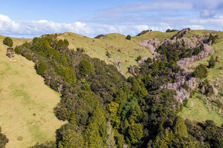 Photo of property in 25 Dawson Access Road, Kaitaia, 0482