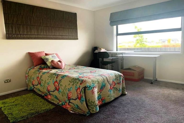 Photo of property in 41 Lulu Avenue, Chartwell, Hamilton, 3210