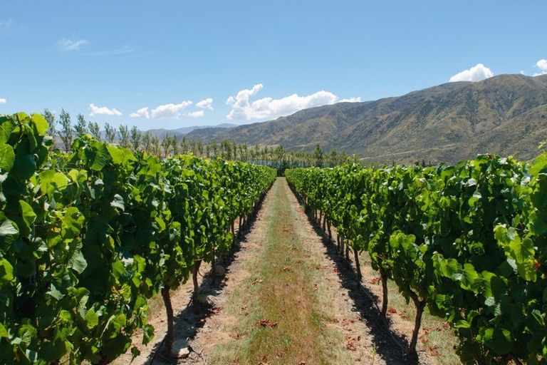 Photo of property in 49 Awahokomo Road, Kurow, 9435