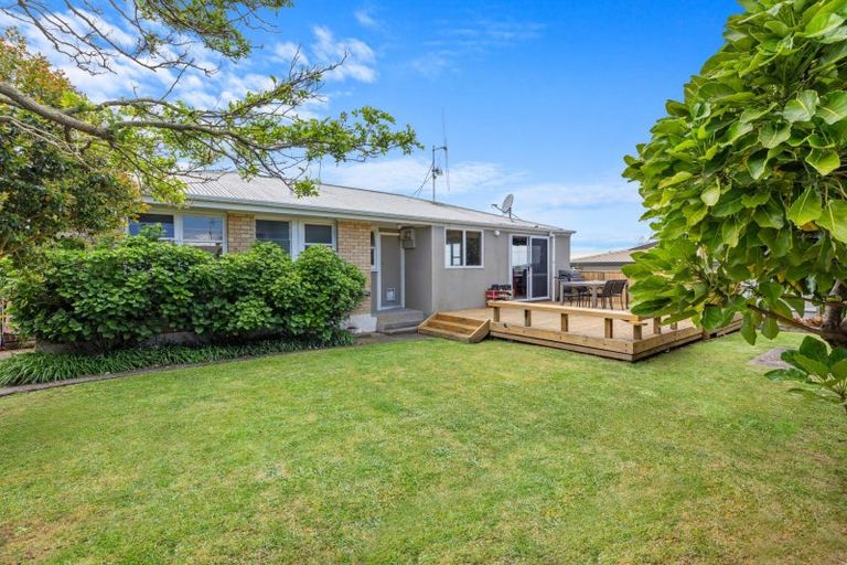 Photo of property in 38 The Drive, Brookfield, Tauranga, 3110
