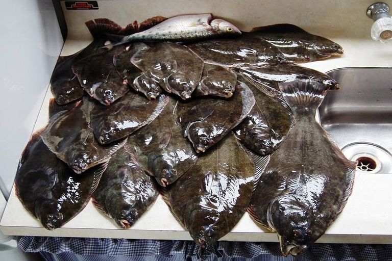 Photo of property in 125 Lawton Drive, Kawhia, 3889