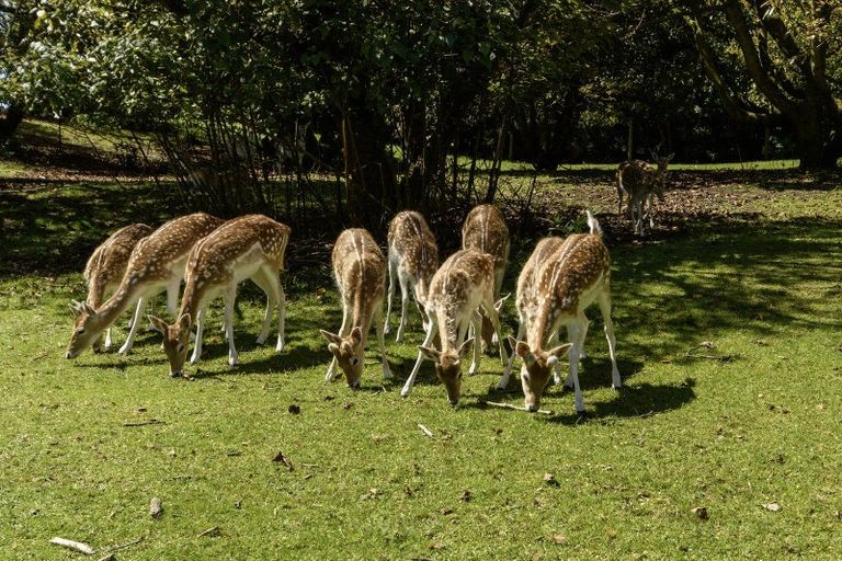 Photo of property in 480b Youngson Road, Whakamarama, 3179