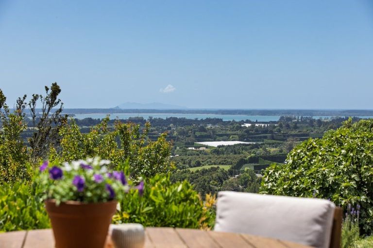 Photo of property in 186b Minden Road, Minden, Tauranga, 3176