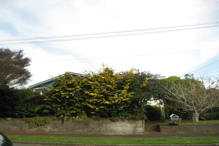 Photo of property in 20 Elizabeth Place, Ferndale, New Plymouth, 4310