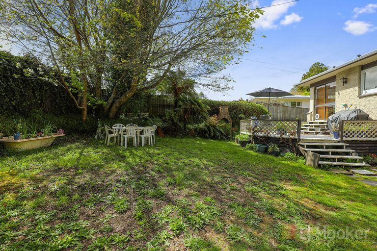Photo of property in 175 Devon Street, Hillcrest, Rotorua, 3015