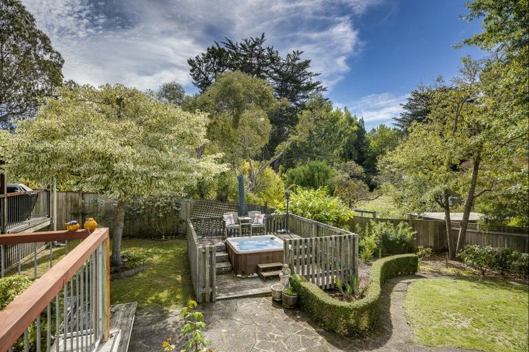 Photo of property in 45 Greenwood Road, Havelock North, 4130