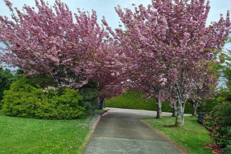 Photo of property in 412 Lorne Dacre Road, Roslyn Bush, Invercargill, 9876