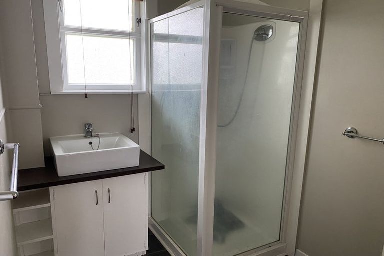 Photo of property in 29 Douglas Crescent, Fairfield, Hamilton, 3214