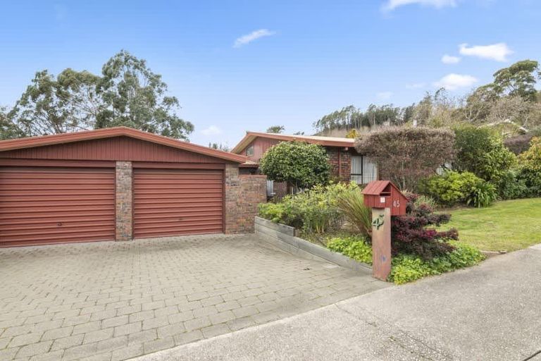 Photo of property in 45 Selbourne Avenue, Richmond, 7020