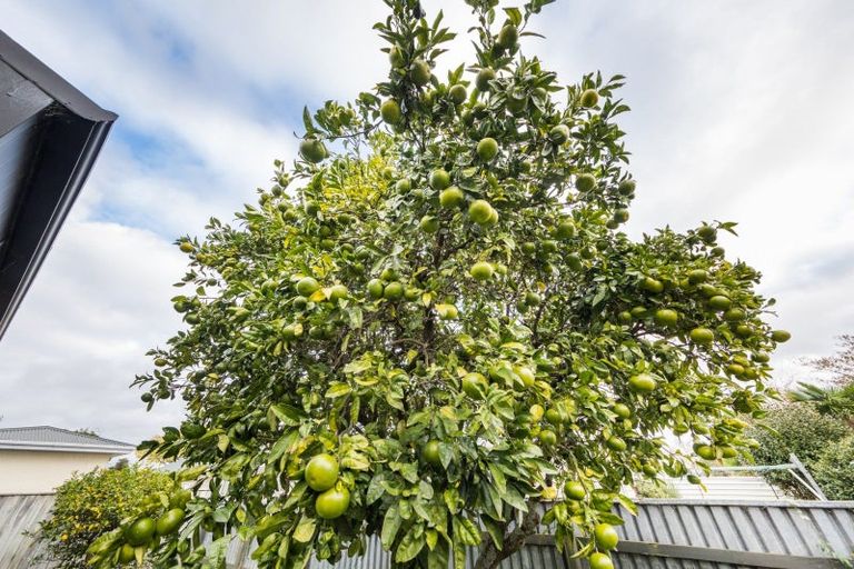 Photo of property in 2a Hendon Place, West End, Palmerston North, 4412