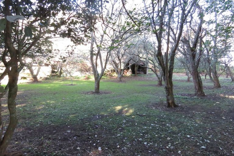 Photo of property in 25 Heatherlea Road East, Levin, 5571