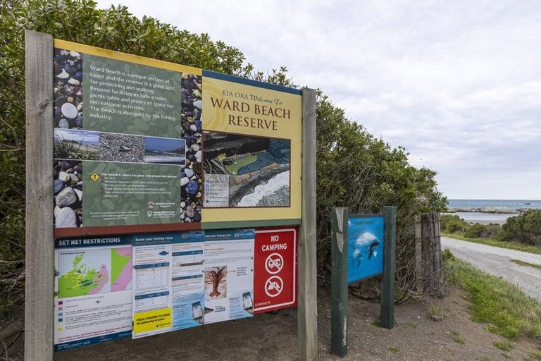 Photo of property in 18 Clermont Street, Ward, Seddon, 7285