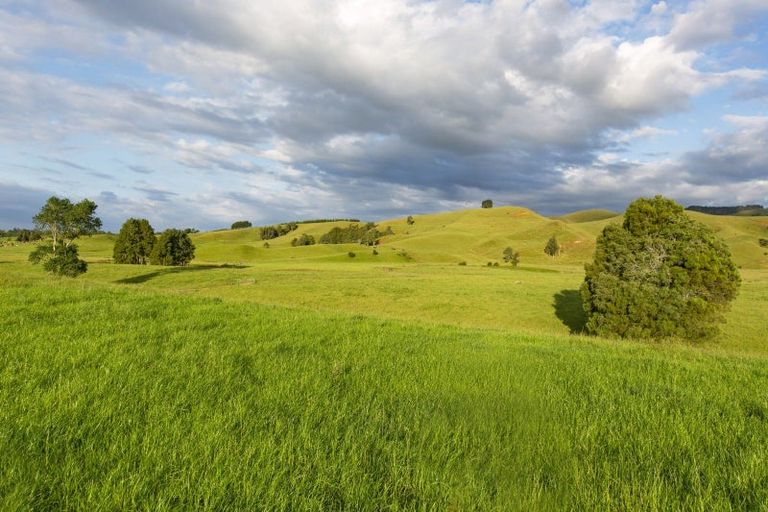 Photo of property in 9a Pond Road, Raglan, 3295