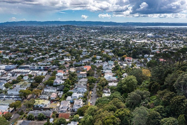 Photo of property in 20 Rautangi Road, Mount Eden, Auckland, 1024