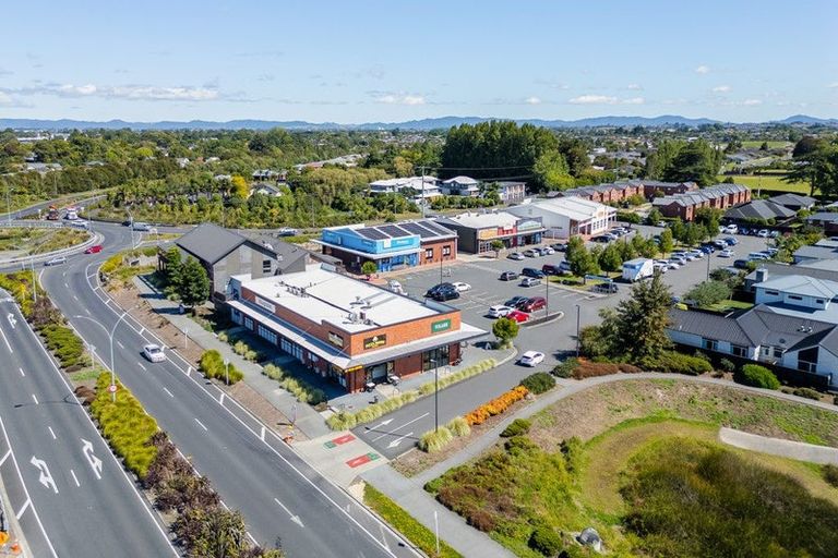 Photo of property in 8 Wyrall Way, Chartwell, Hamilton, 3210