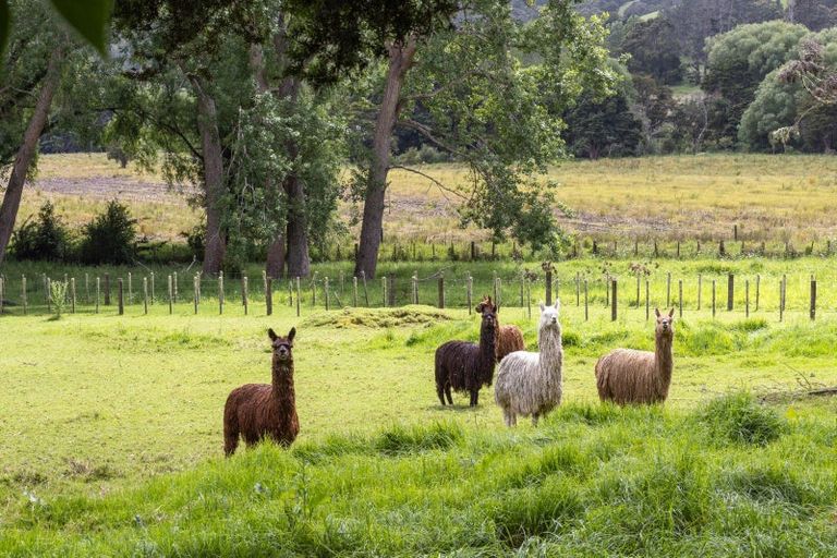 Photo of property in 1174 Kahikatea Flat Road, Waitoki, Kaukapakapa, 0871
