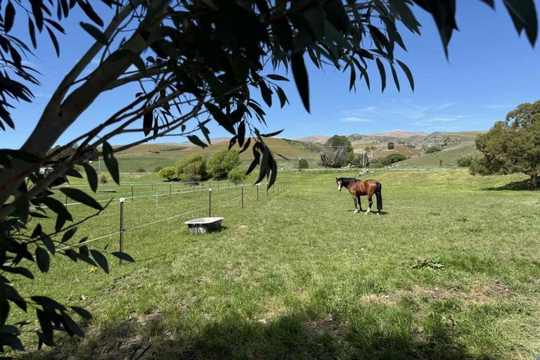 Photo of property in 745 Ardgour Valley Road, Tarras, Cromwell, 9383
