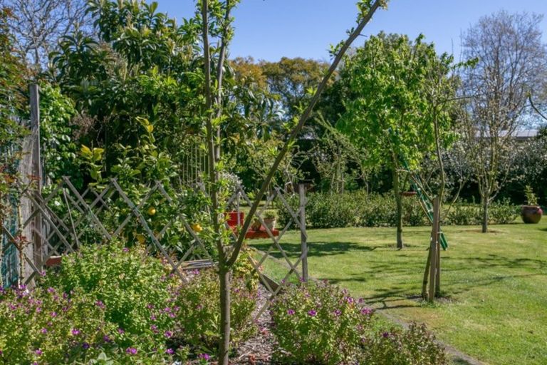 Photo of property in 128 Cole Street, Masterton, 5810