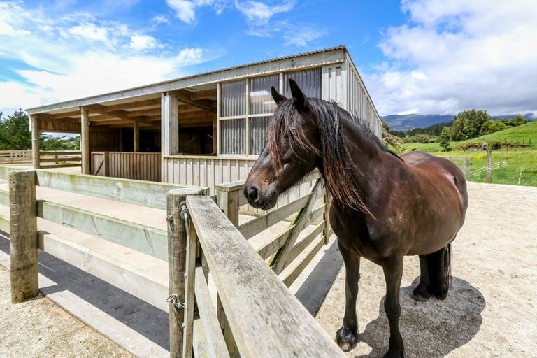 Photo of property in 1375 Carrington Road, Hurworth, New Plymouth, 4371