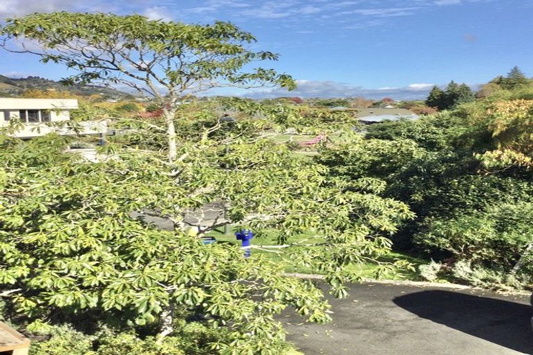 Photo of property in 6 Dartmoor Place, Richmond, 7020