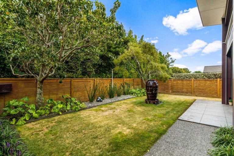 Photo of property in 58d Gilbert Street, New Plymouth, 4310
