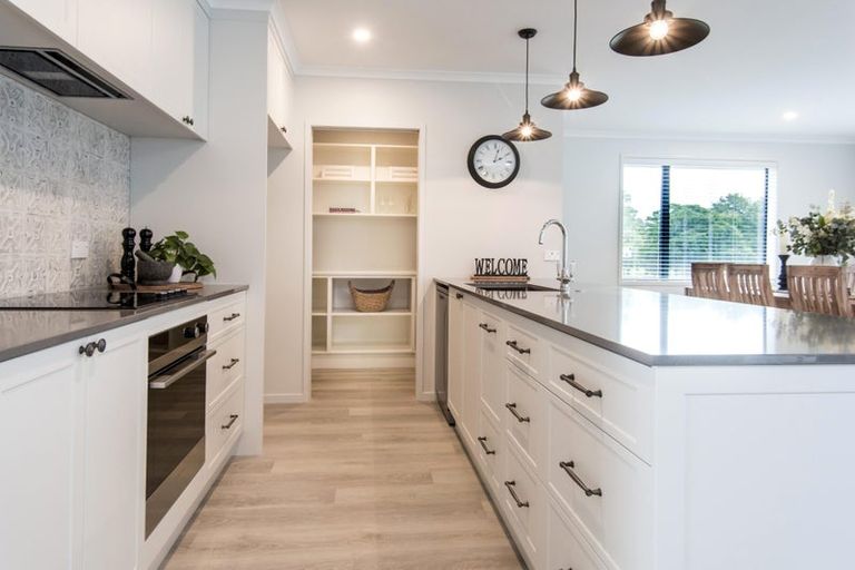 Photo of property in 43 Flounder Drive, Omokoroa, 3114