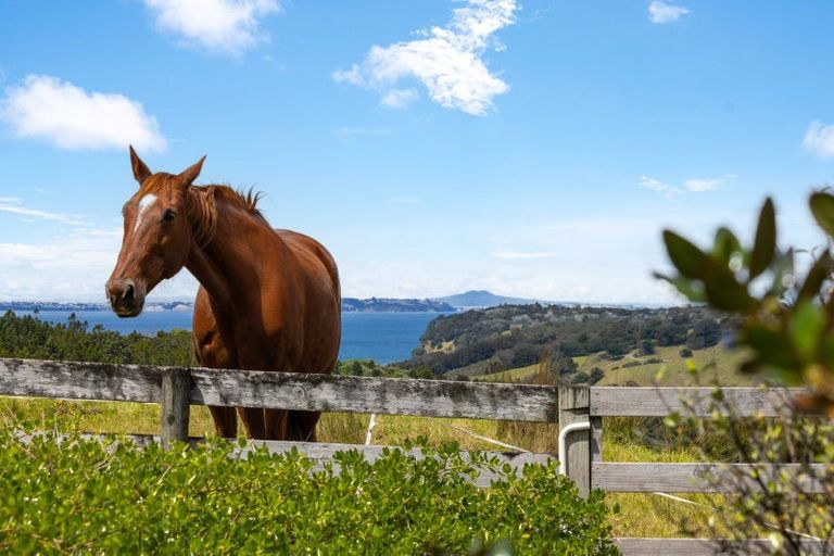 Photo of property in 564 Mahurangi West Road, Mahurangi West, Warkworth, 0983