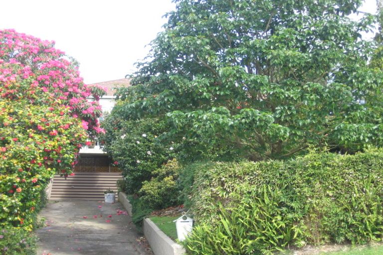 Photo of property in 8 Kauri Street, Dargaville, 0310