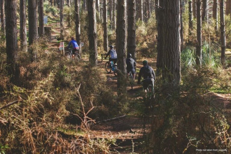 Photo of property in 95 Solan Drive, Waimauku, 0812