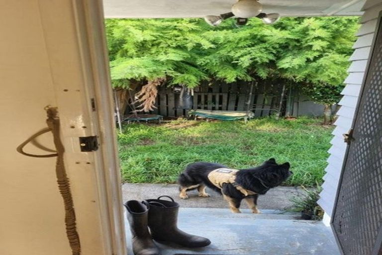 Photo of property in 44 Kirton Crescent, Manurewa, Auckland, 2102